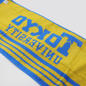 Sports towel (UA collaboration)